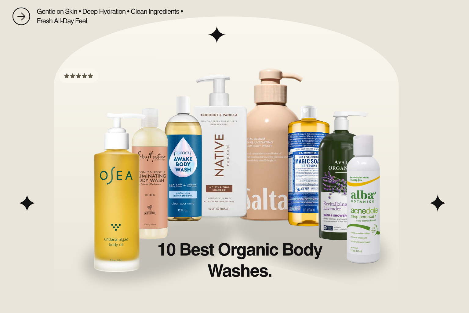 Collection of the best organic body washes featuring ten natural and eco-friendly body wash bottles arranged on a soft beige background with clean aesthetic lighting.